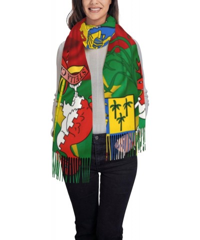 Coat of arms of Mauritius Scarf for Women Winter Warm Travel Silk Scarves $23.12 Scarves