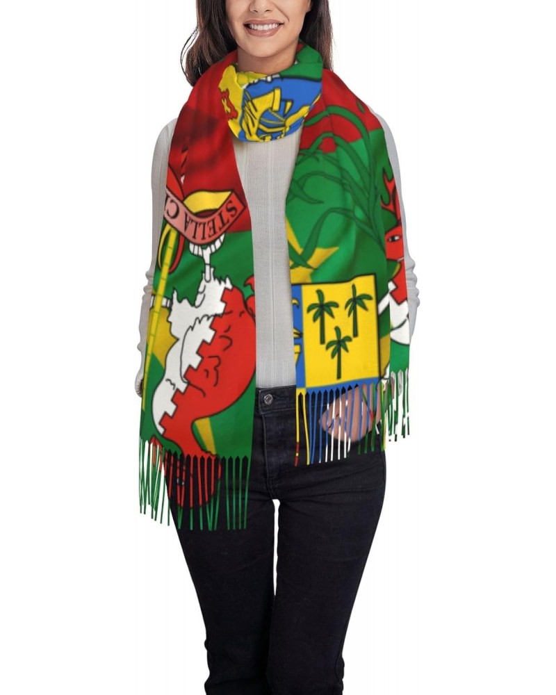 Coat of arms of Mauritius Scarf for Women Winter Warm Travel Silk Scarves $23.12 Scarves