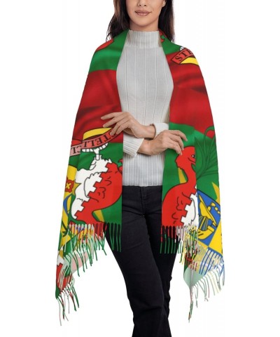 Coat of arms of Mauritius Scarf for Women Winter Warm Travel Silk Scarves $23.12 Scarves