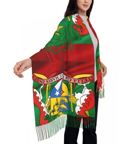 Coat of arms of Mauritius Scarf for Women Winter Warm Travel Silk Scarves $23.12 Scarves