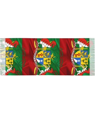 Coat of arms of Mauritius Scarf for Women Winter Warm Travel Silk Scarves $23.12 Scarves