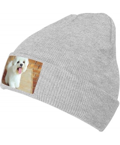 Maltese Dog Knitted Woolen Hat, Men's/Women's Warm and Fashionable Winter Beanies, Gift for Father Gray $12.94 Skullies & Bea...