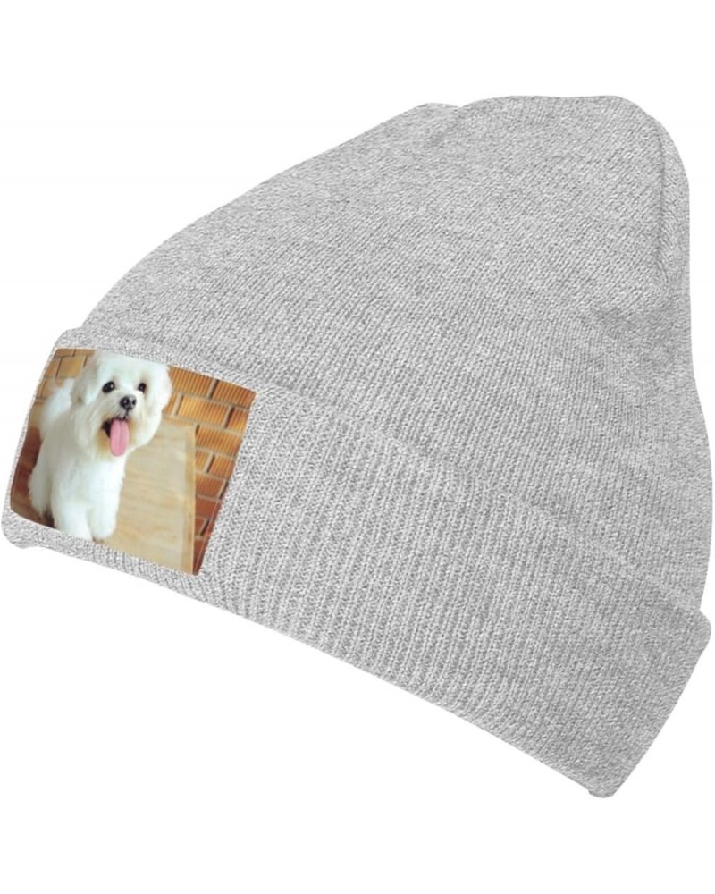 Maltese Dog Knitted Woolen Hat, Men's/Women's Warm and Fashionable Winter Beanies, Gift for Father Gray $12.94 Skullies & Bea...