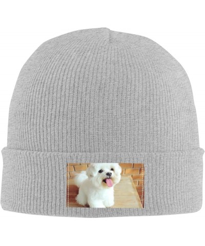 Maltese Dog Knitted Woolen Hat, Men's/Women's Warm and Fashionable Winter Beanies, Gift for Father Gray $12.94 Skullies & Bea...