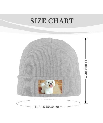 Maltese Dog Knitted Woolen Hat, Men's/Women's Warm and Fashionable Winter Beanies, Gift for Father Gray $12.94 Skullies & Bea...