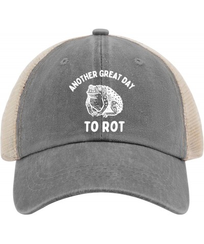 Another Great Day to Rot Hat for Men Baseball Cap Classic Washed Workout Hats Cotton Gray02 $11.98 Baseball Caps