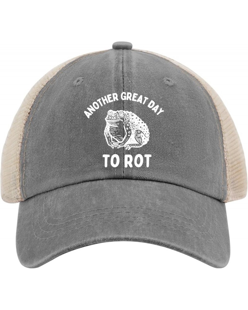 Another Great Day to Rot Hat for Men Baseball Cap Classic Washed Workout Hats Cotton Gray02 $11.98 Baseball Caps