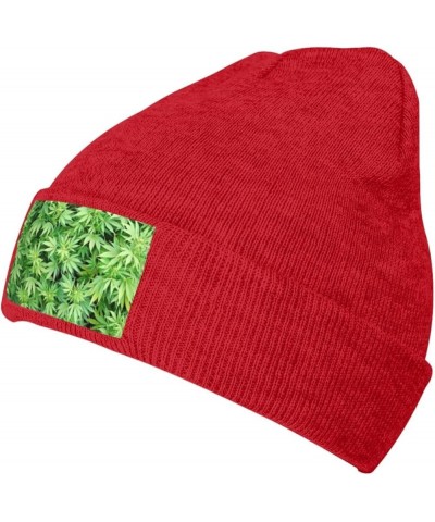 Leaves Plants Print Unisex Soft Warm Beanie Hat for Men Women Elastic Lightweight Skiing Knitted Hat Red $13.22 Skullies & Be...