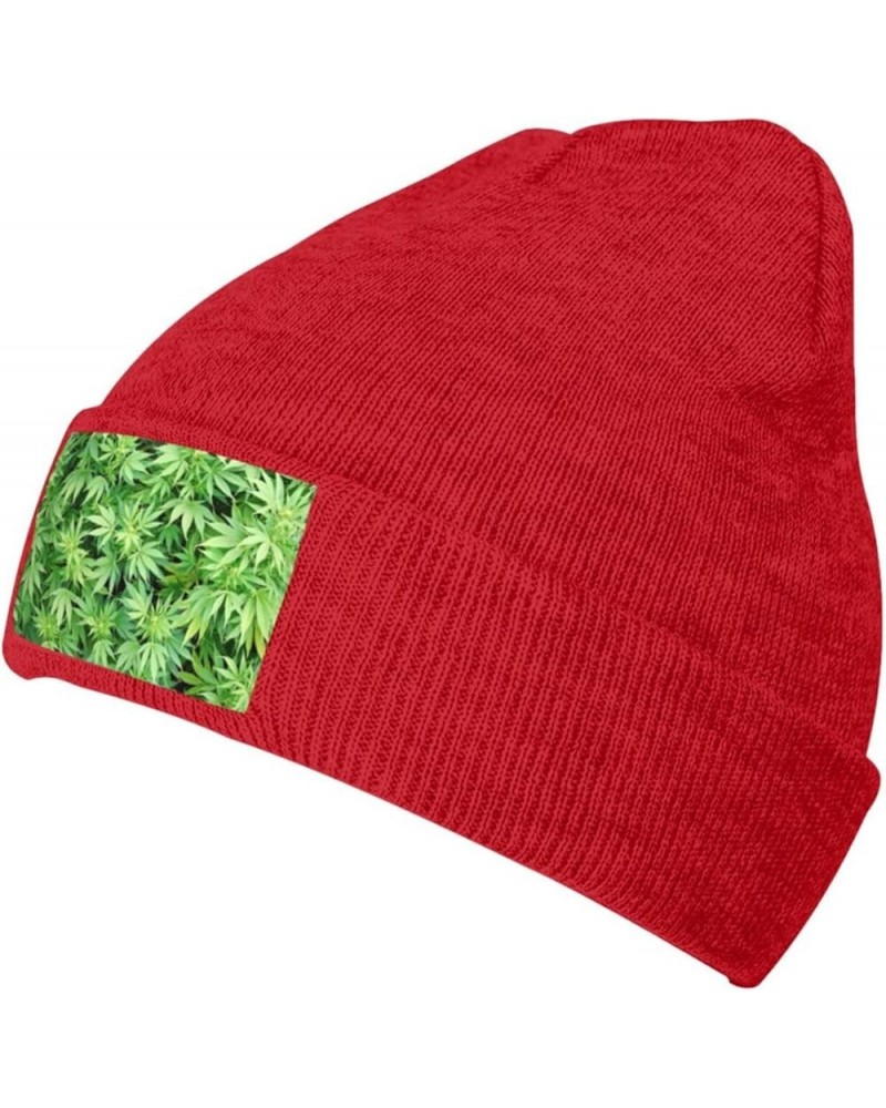 Leaves Plants Print Unisex Soft Warm Beanie Hat for Men Women Elastic Lightweight Skiing Knitted Hat Red $13.22 Skullies & Be...