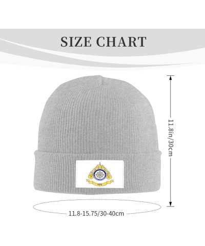 Naropa University Logo Stretch Knit Hat for Men Women Winter Warm Cap Gray $7.77 Skullies & Beanies