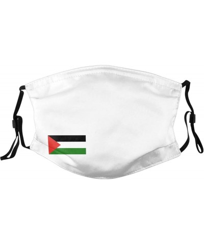 Palestine Flag Face Mask Washable Reusable Adults Breathable with 2 Filters Black $11.66 Balaclavas