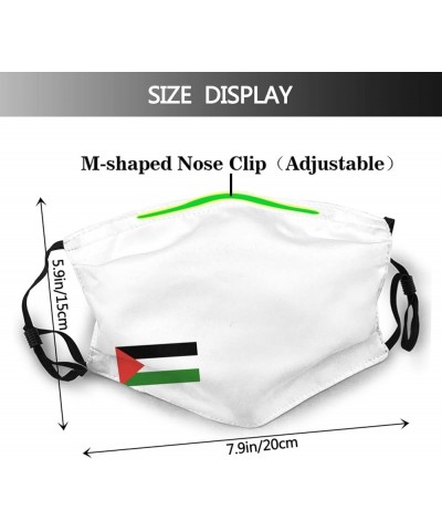 Palestine Flag Face Mask Washable Reusable Adults Breathable with 2 Filters Black $11.66 Balaclavas