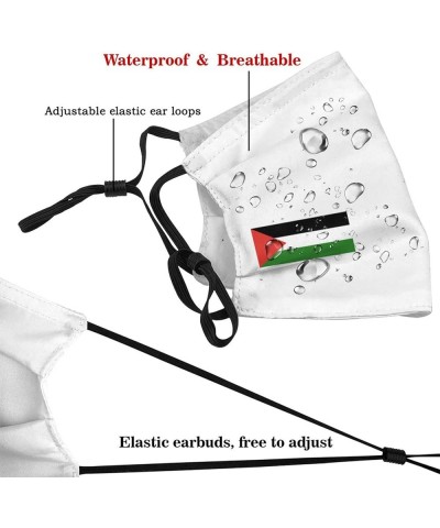 Palestine Flag Face Mask Washable Reusable Adults Breathable with 2 Filters Black $11.66 Balaclavas