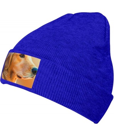 Golden Retriever Dog Knitted Woolen Hat, Men's/Women's Warm and Fashionable Winter Beanies, Gift for Father Blue $9.49 Skulli...