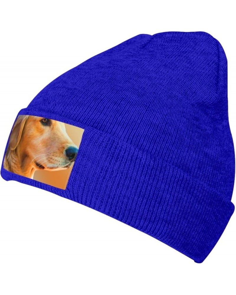 Golden Retriever Dog Knitted Woolen Hat, Men's/Women's Warm and Fashionable Winter Beanies, Gift for Father Blue $9.49 Skulli...