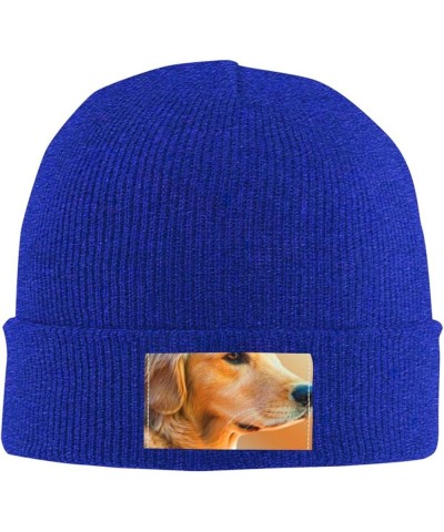 Golden Retriever Dog Knitted Woolen Hat, Men's/Women's Warm and Fashionable Winter Beanies, Gift for Father Blue $9.49 Skulli...