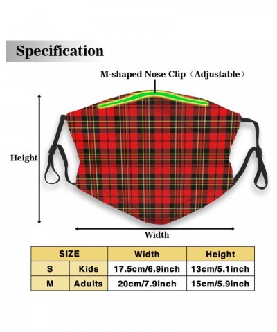 Clan Brodie Tartan Reusable Face Mask with Replaceable Filter Activated Carbon Dust Mask with Two Filters $10.05 Balaclavas