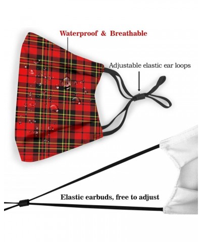 Clan Brodie Tartan Reusable Face Mask with Replaceable Filter Activated Carbon Dust Mask with Two Filters $10.05 Balaclavas