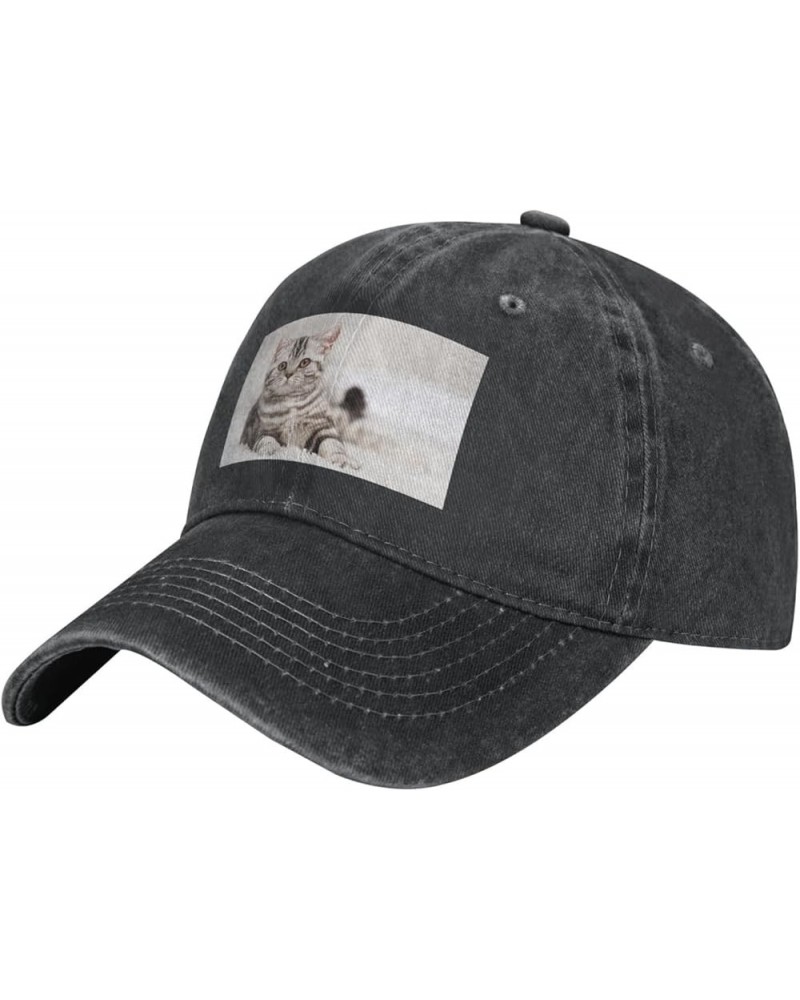 Cute Koala Baseball Cap Cowboy Hat for Men Women,Adjustable Classic Hats Caps,Dad Golf Hat Cute Kitten $10.90 Baseball Caps