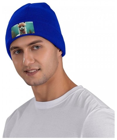 Beanie Hats for Women Men Knit Hat Alpaca Print Beanies Cap Fashion Cuffed Sports Hat Blue $9.45 Skullies & Beanies