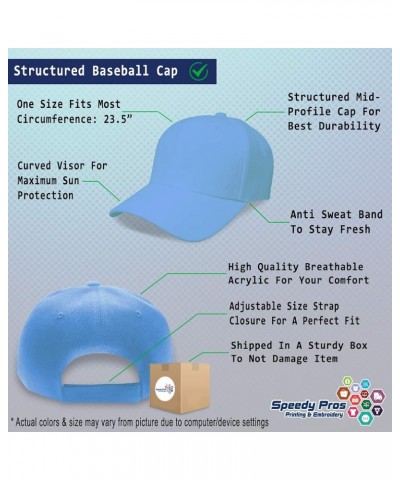 Custom Baseball Cap Caseworker History Acrylic Reports Dad Hats for Men and Women Light Blue Design Only $15.11 Baseball Caps