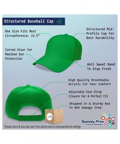 Custom Baseball Cap Web Developer Development Acrylic Programmer Dad Hats for Men and Women Kelly Green Personalized Text Her...