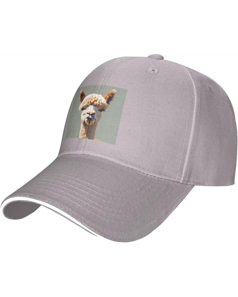 Alpaca Avatar Pattern Casual General Baseball Cap Black : Comfortable, Light Gray $13.99 Baseball Caps