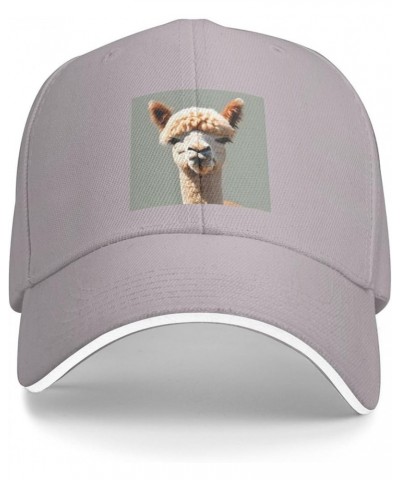 Alpaca Avatar Pattern Casual General Baseball Cap Black : Comfortable, Light Gray $13.99 Baseball Caps