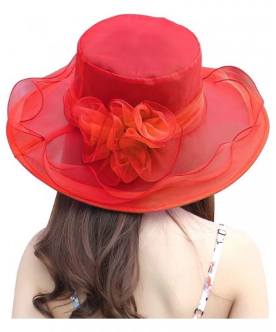 Kentucky-Derby Hats for Women Church Hats for Women Fancy Tea Party Hats Organza Hat Wedding Fascinator Rd1 $6.43 Sun Hats