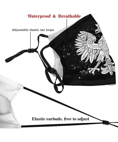 Polish Eagle Polska Face Mask Washable Reusable Adults Breathable with 2 Filters Black $11.66 Balaclavas