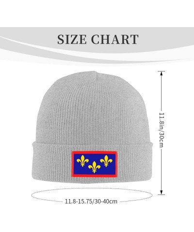 Flag of Anjou Beanie Hat for Men Women Soft Warm Knit Skull Cap Winter Hats Ski Hat Gray $9.17 Skullies & Beanies