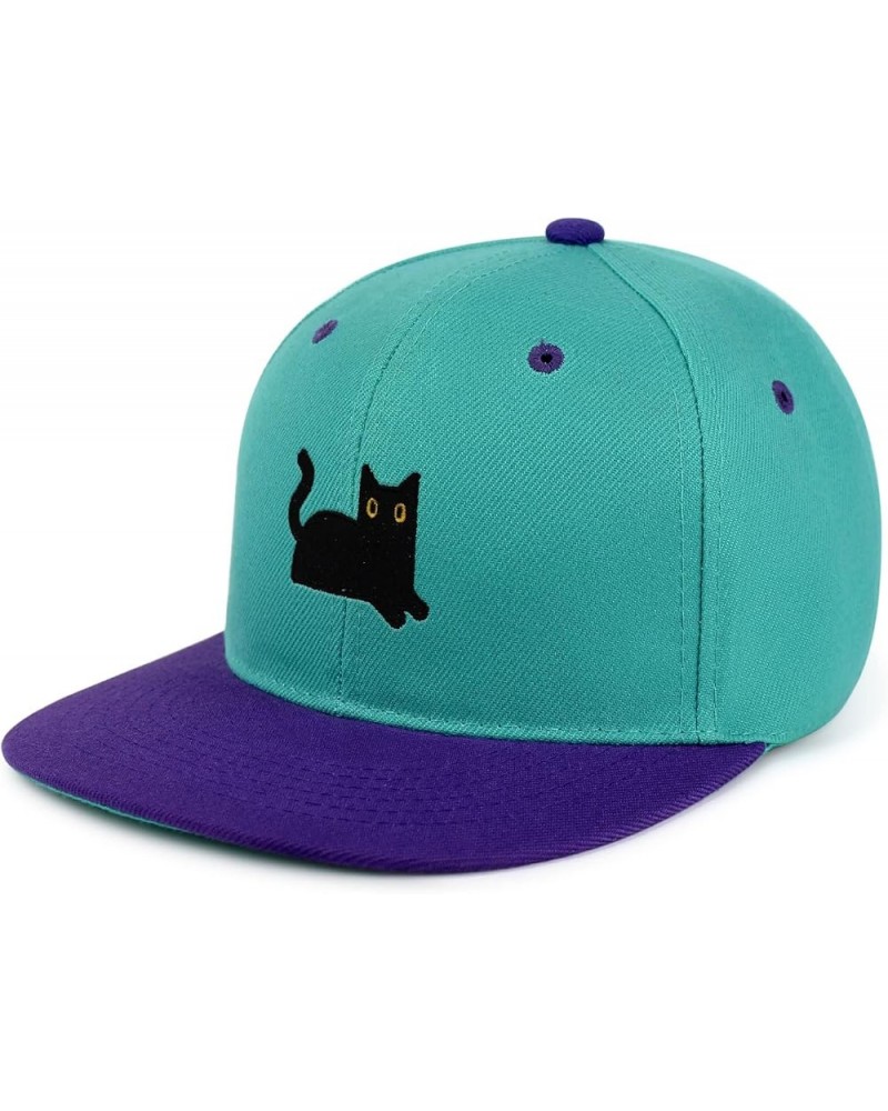 Black Cat Hip-Hop Snapback Hat Embroidered Baseball Cap Cat Mom 61. Aqua/Purple $13.24 Baseball Caps